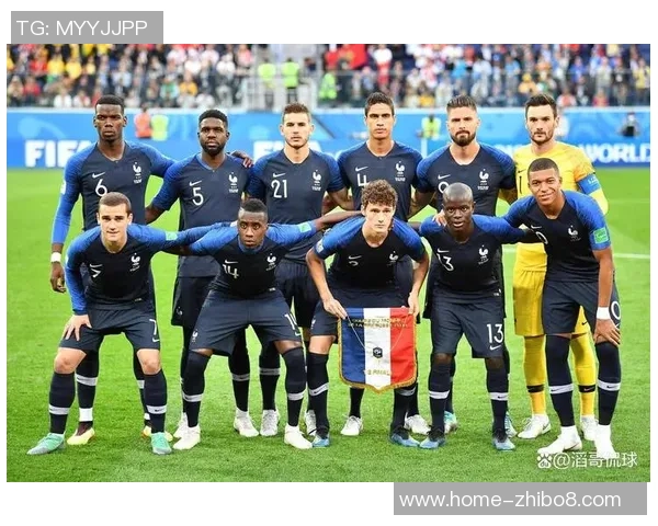 2018年世界杯预选赛法国队与瑞典队激战回顾与精彩瞬间分析