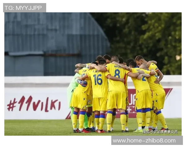 卡塔尔与巴勒斯坦足球赛精彩直播全程回顾与分析